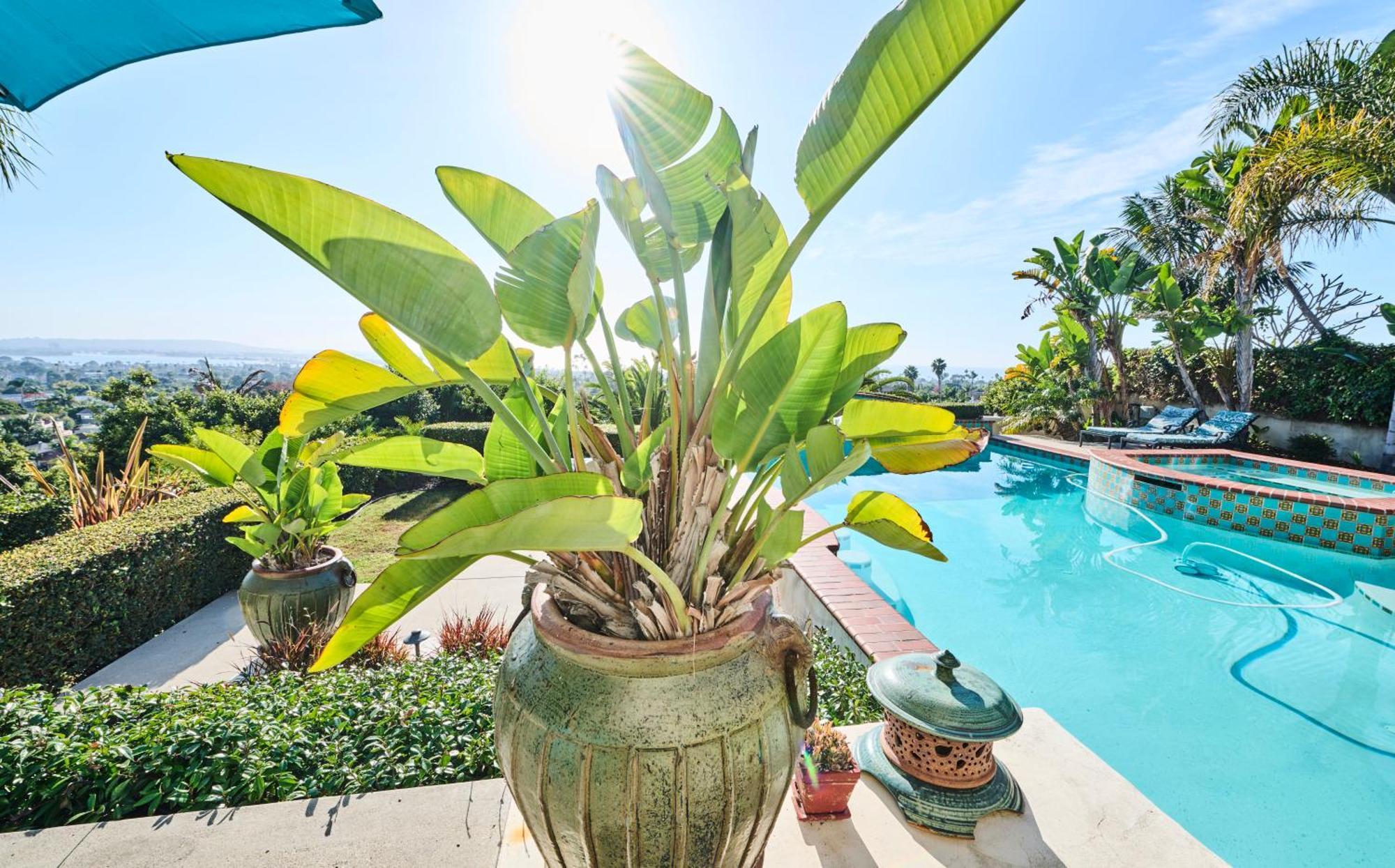 360 Degree Ocean & City Views With Pool, Spa, Close To The Beach! Pets Ok 圣地亚哥 外观 照片